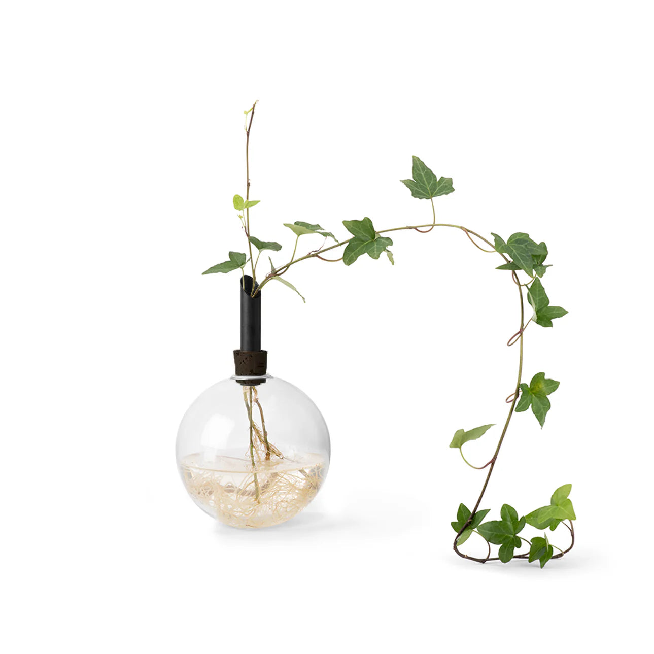 Scandinaviaform Glasilium vaas zwart