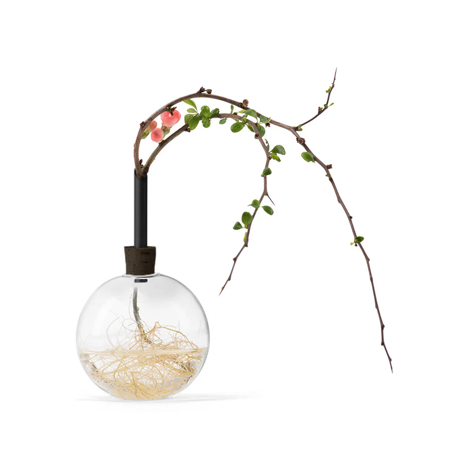 Scandinaviaform Glasilium vaas zwart