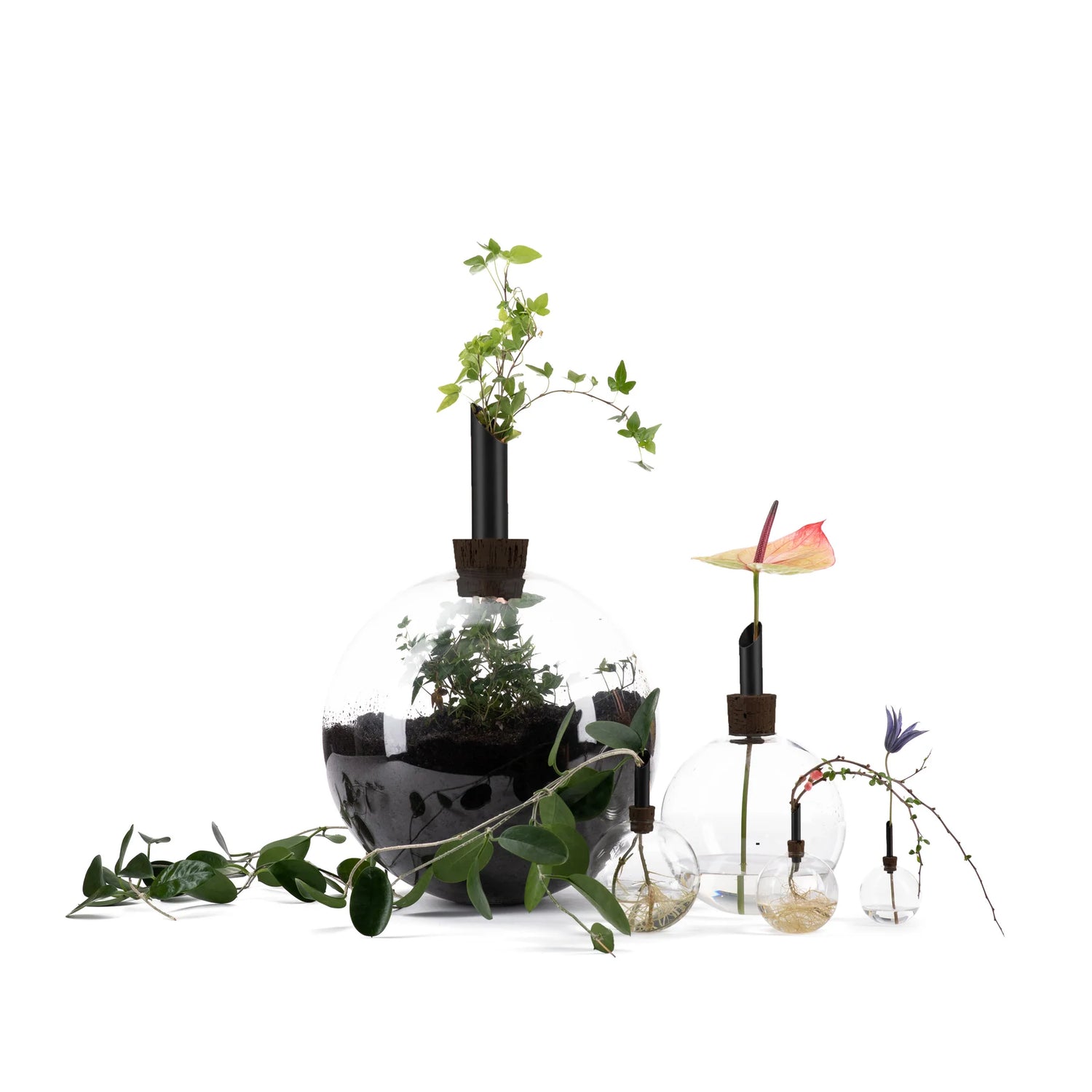 Scandinaviaform