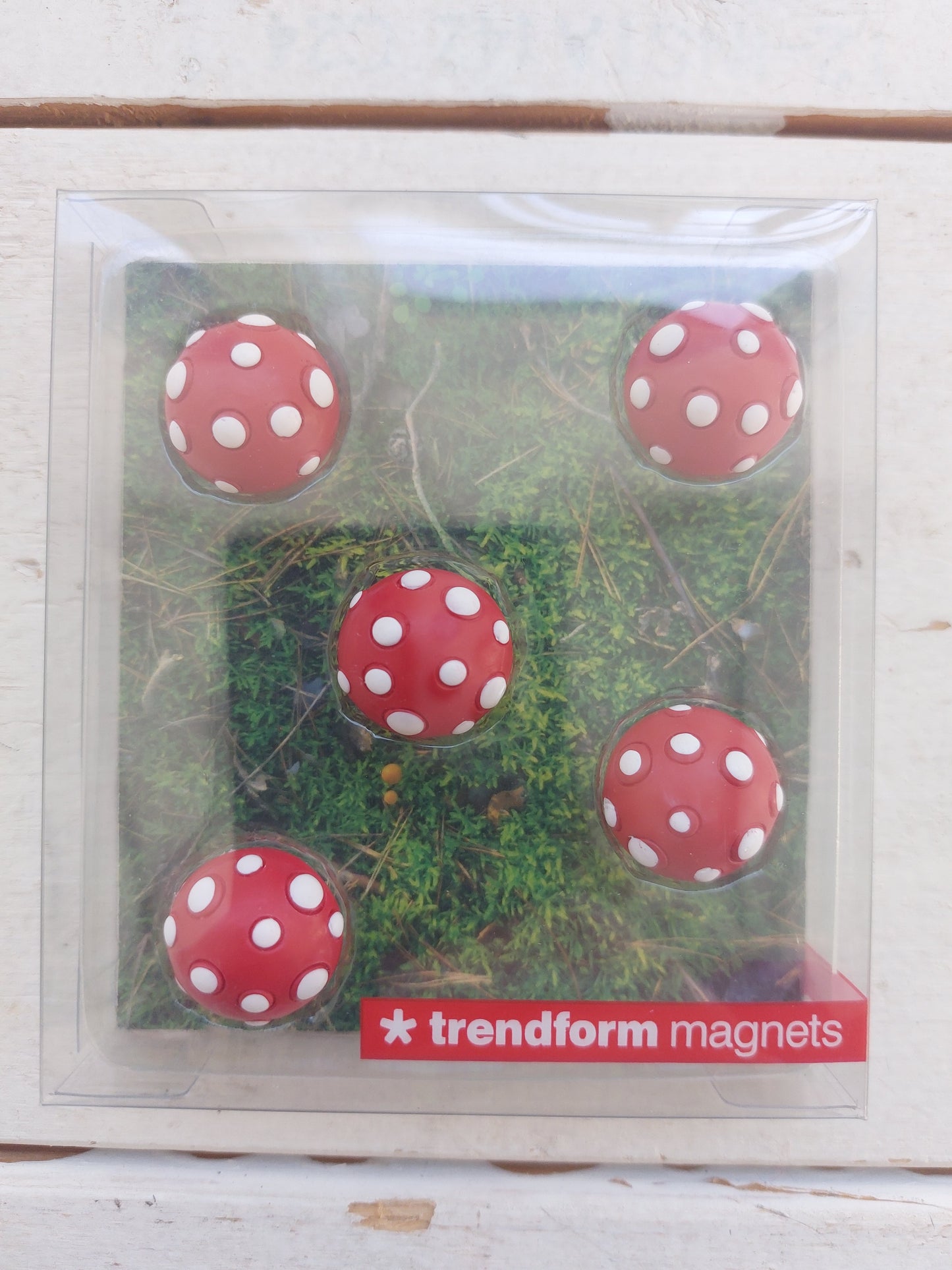 Doosje paddenstoelen magneten