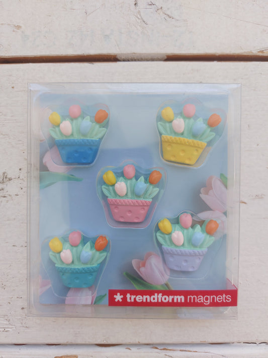 Doosje tulpen magneten