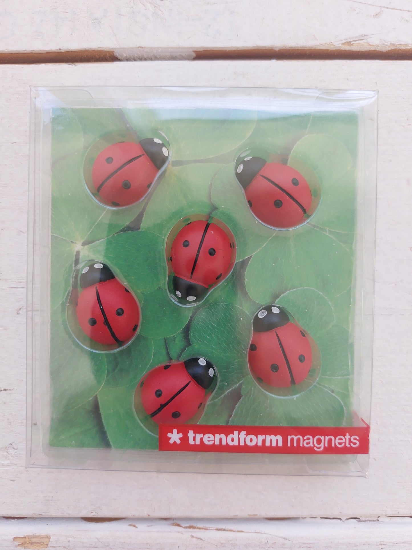 Doosje magneten lieveheersbeestje