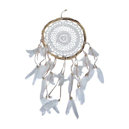 Dromenvanger met witte veren 