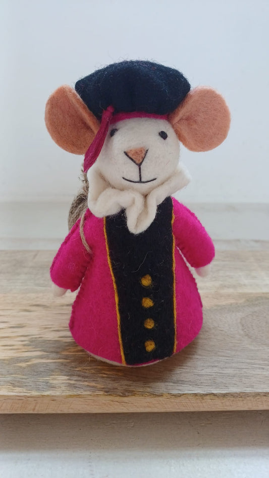 Sjaal met verhaal Pietermuis fuchsia