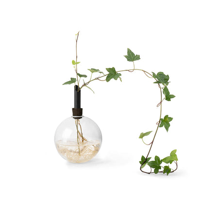 Scandinaviaform Glasilium vaas zwart